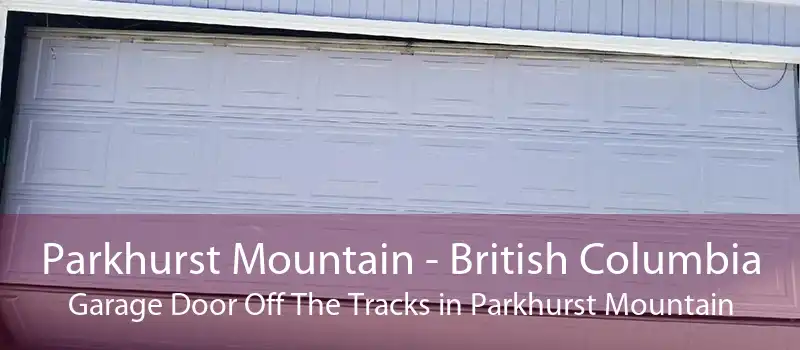 Parkhurst Mountain - British Columbia Garage Door Off The Tracks in Parkhurst Mountain