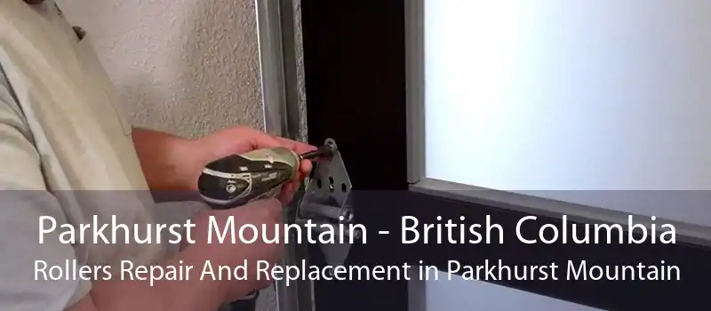 Parkhurst Mountain - British Columbia Rollers Repair And Replacement in Parkhurst Mountain