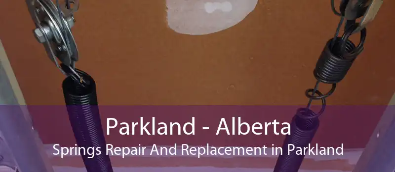 Parkland - Alberta Springs Repair And Replacement in Parkland