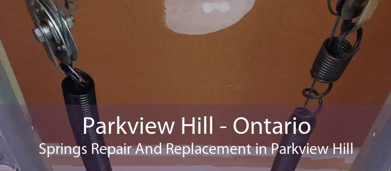 Parkview Hill - Ontario Springs Repair And Replacement in Parkview Hill