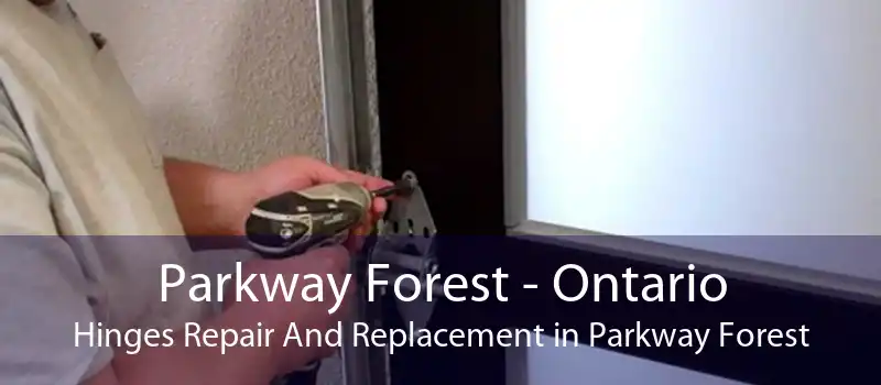 Parkway Forest - Ontario Hinges Repair And Replacement in Parkway Forest