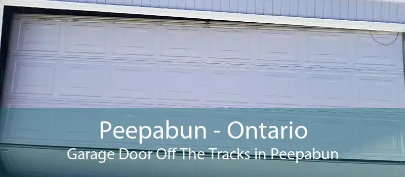 Peepabun - Ontario Garage Door Off The Tracks in Peepabun