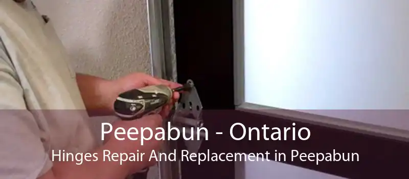 Peepabun - Ontario Hinges Repair And Replacement in Peepabun