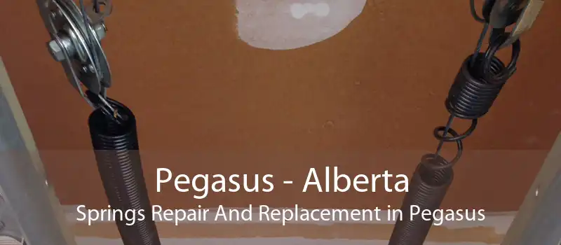 Pegasus - Alberta Springs Repair And Replacement in Pegasus