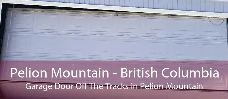 Pelion Mountain - British Columbia Garage Door Off The Tracks in Pelion Mountain