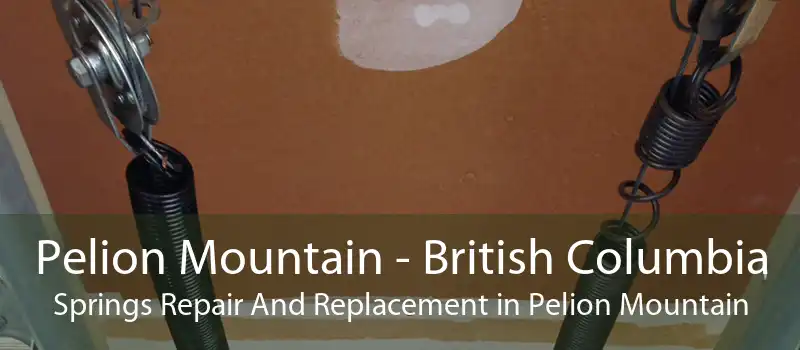 Pelion Mountain - British Columbia Springs Repair And Replacement in Pelion Mountain