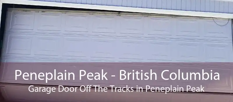Peneplain Peak - British Columbia Garage Door Off The Tracks in Peneplain Peak