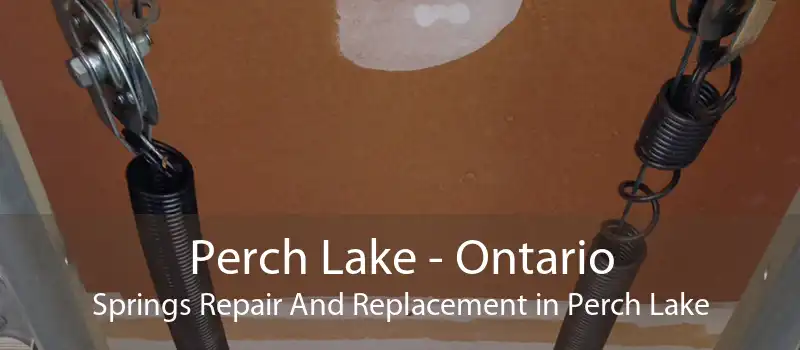 Perch Lake - Ontario Springs Repair And Replacement in Perch Lake