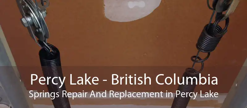 Percy Lake - British Columbia Springs Repair And Replacement in Percy Lake