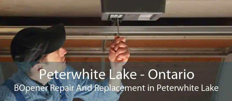 Peterwhite Lake - Ontario BOpener Repair And Replacement in Peterwhite Lake