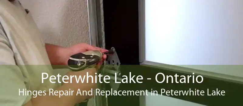 Peterwhite Lake - Ontario Hinges Repair And Replacement in Peterwhite Lake