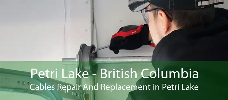 Petri Lake - British Columbia Cables Repair And Replacement in Petri Lake
