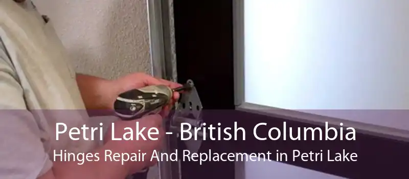 Petri Lake - British Columbia Hinges Repair And Replacement in Petri Lake