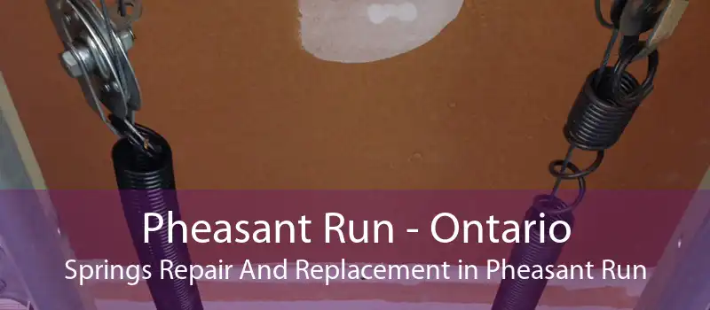 Pheasant Run - Ontario Springs Repair And Replacement in Pheasant Run