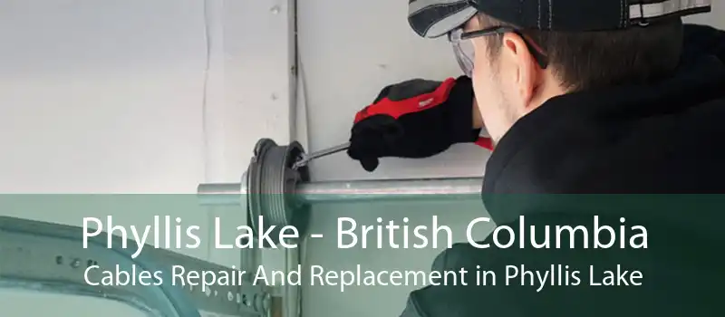 Phyllis Lake - British Columbia Cables Repair And Replacement in Phyllis Lake