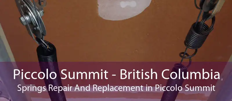 Piccolo Summit - British Columbia Springs Repair And Replacement in Piccolo Summit