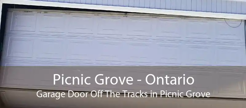 Picnic Grove - Ontario Garage Door Off The Tracks in Picnic Grove
