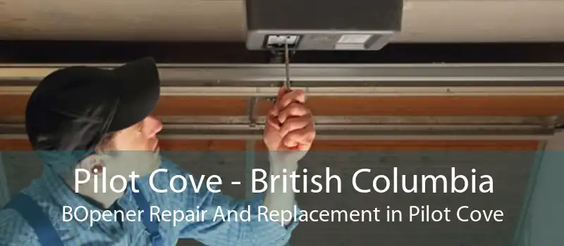 Pilot Cove - British Columbia BOpener Repair And Replacement in Pilot Cove
