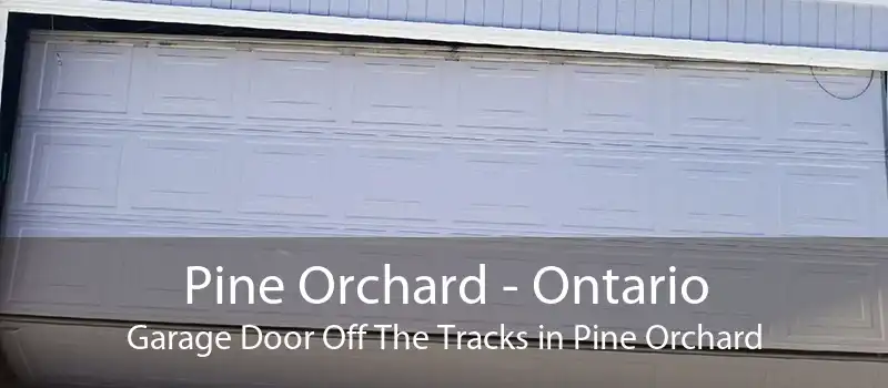 Pine Orchard - Ontario Garage Door Off The Tracks in Pine Orchard