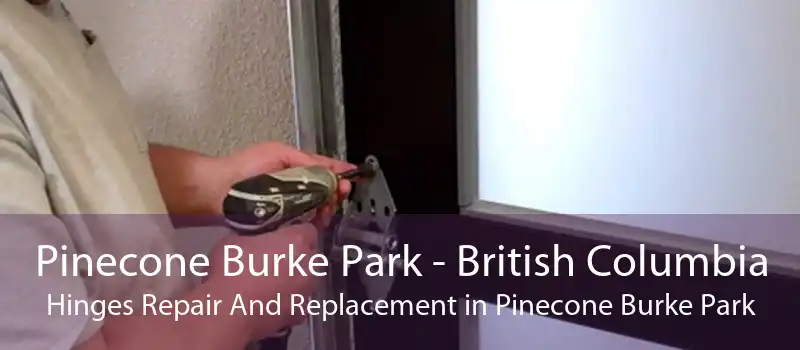 Pinecone Burke Park - British Columbia Hinges Repair And Replacement in Pinecone Burke Park