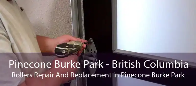 Pinecone Burke Park - British Columbia Rollers Repair And Replacement in Pinecone Burke Park