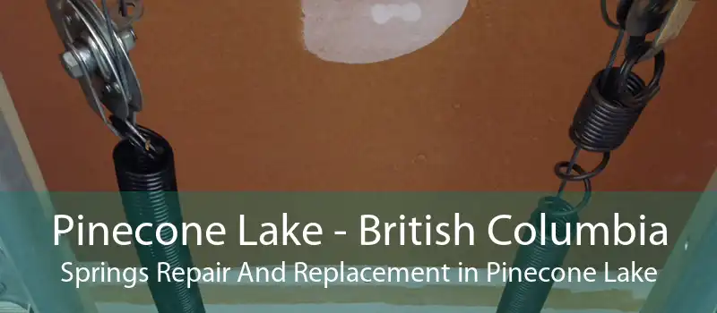 Pinecone Lake - British Columbia Springs Repair And Replacement in Pinecone Lake