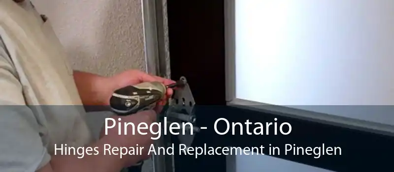 Pineglen - Ontario Hinges Repair And Replacement in Pineglen