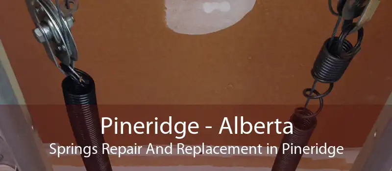 Pineridge - Alberta Springs Repair And Replacement in Pineridge
