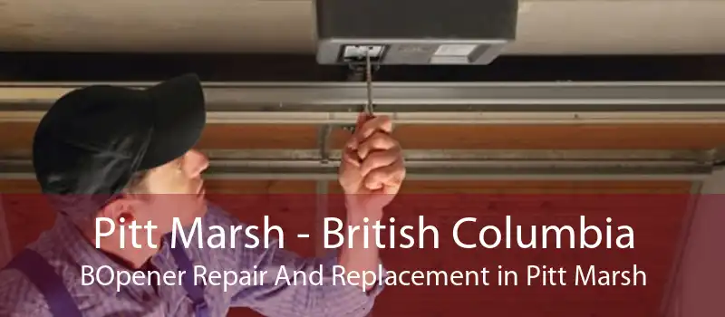 Pitt Marsh - British Columbia BOpener Repair And Replacement in Pitt Marsh