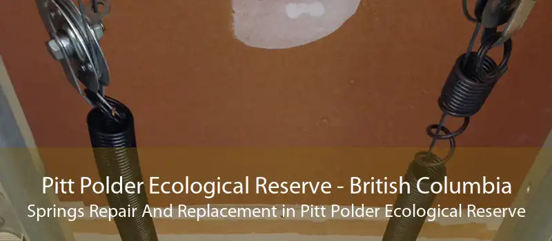 Pitt Polder Ecological Reserve - British Columbia Springs Repair And Replacement in Pitt Polder Ecological Reserve