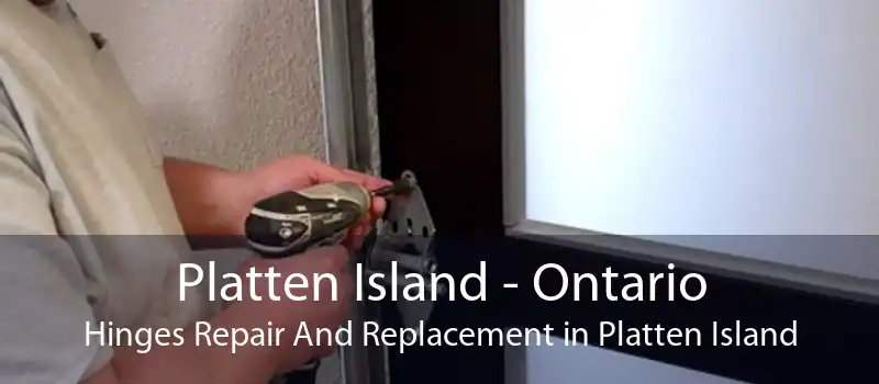 Platten Island - Ontario Hinges Repair And Replacement in Platten Island