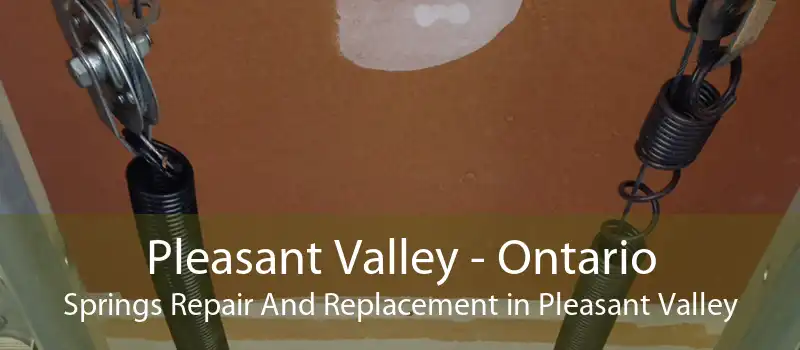 Pleasant Valley - Ontario Springs Repair And Replacement in Pleasant Valley