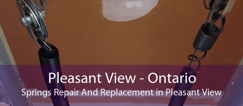Pleasant View - Ontario Springs Repair And Replacement in Pleasant View