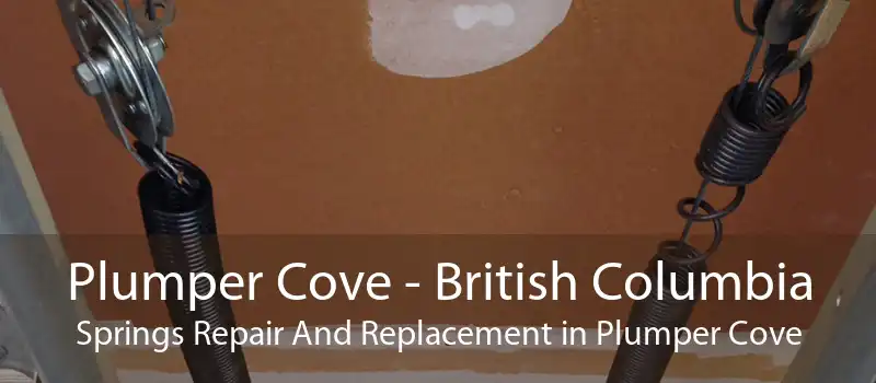 Plumper Cove - British Columbia Springs Repair And Replacement in Plumper Cove