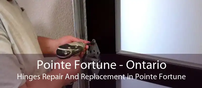 Pointe Fortune - Ontario Hinges Repair And Replacement in Pointe Fortune
