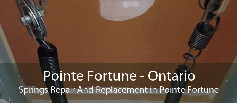 Pointe Fortune - Ontario Springs Repair And Replacement in Pointe Fortune