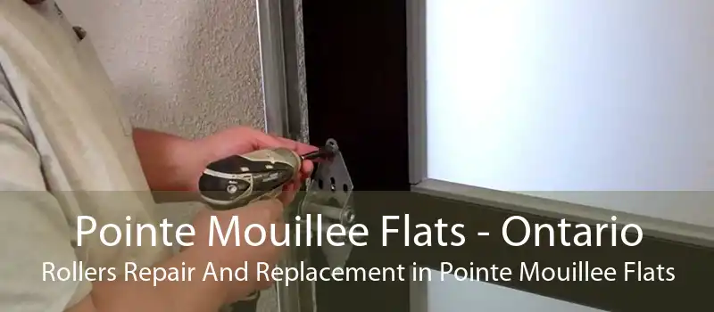 Pointe Mouillee Flats - Ontario Rollers Repair And Replacement in Pointe Mouillee Flats