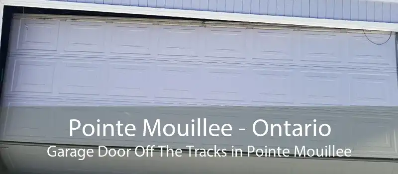 Pointe Mouillee - Ontario Garage Door Off The Tracks in Pointe Mouillee
