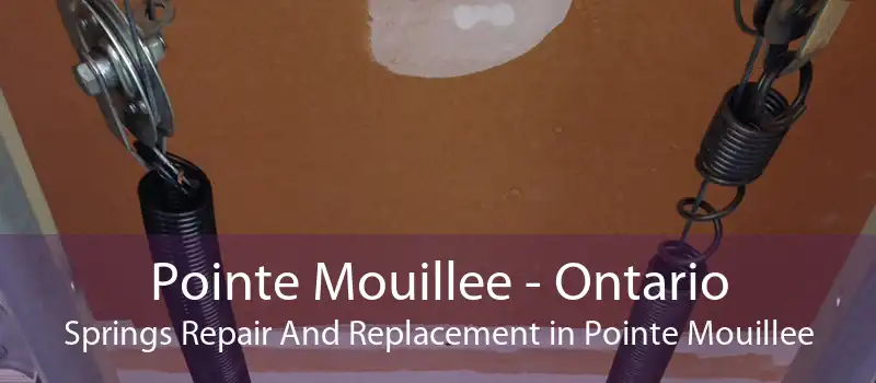 Pointe Mouillee - Ontario Springs Repair And Replacement in Pointe Mouillee