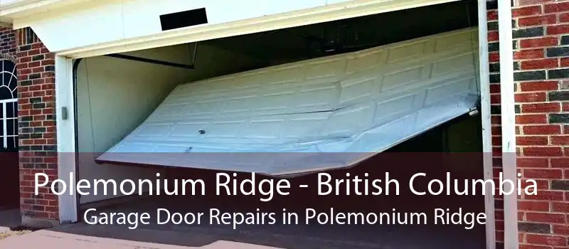 Polemonium Ridge - British Columbia Garage Door Repairs in Polemonium Ridge