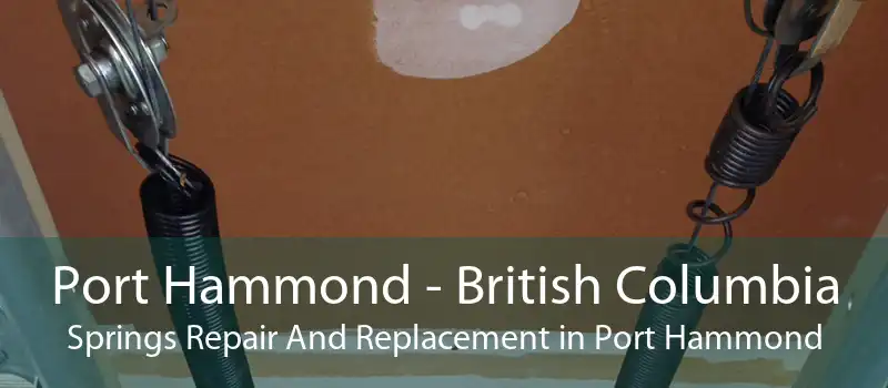 Port Hammond - British Columbia Springs Repair And Replacement in Port Hammond