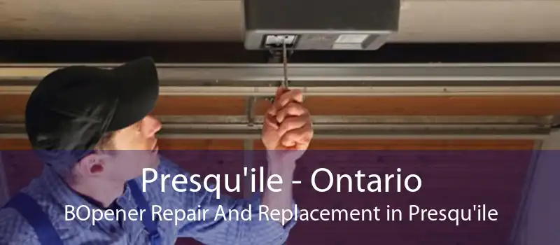 Presqu'ile - Ontario BOpener Repair And Replacement in Presqu'ile