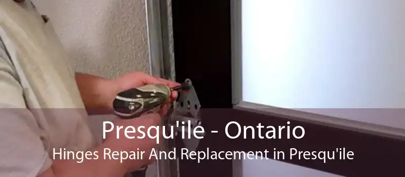 Presqu'ile - Ontario Hinges Repair And Replacement in Presqu'ile