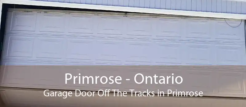 Primrose - Ontario Garage Door Off The Tracks in Primrose