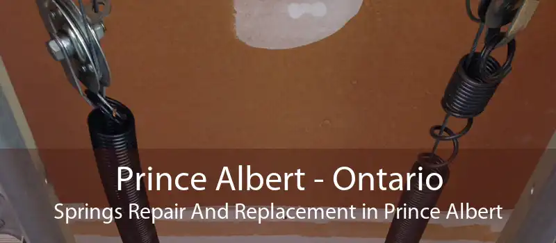 Prince Albert - Ontario Springs Repair And Replacement in Prince Albert