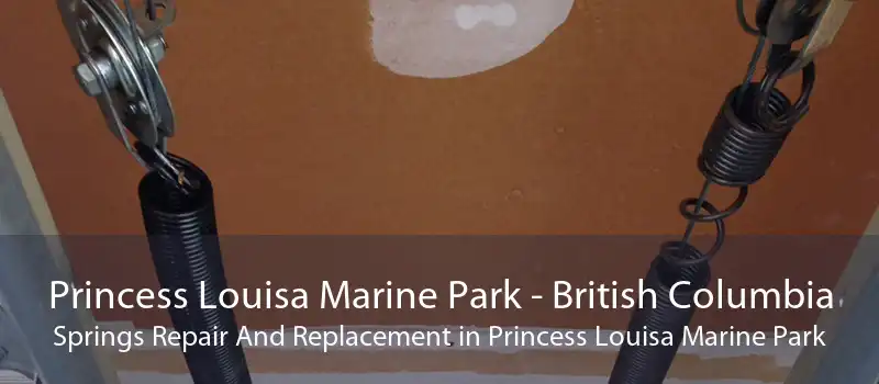 Princess Louisa Marine Park - British Columbia Springs Repair And Replacement in Princess Louisa Marine Park