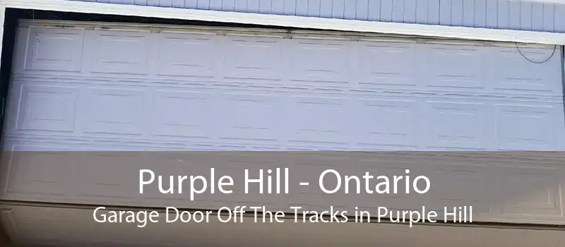 Purple Hill - Ontario Garage Door Off The Tracks in Purple Hill