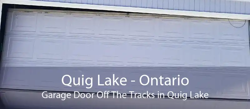 Quig Lake - Ontario Garage Door Off The Tracks in Quig Lake