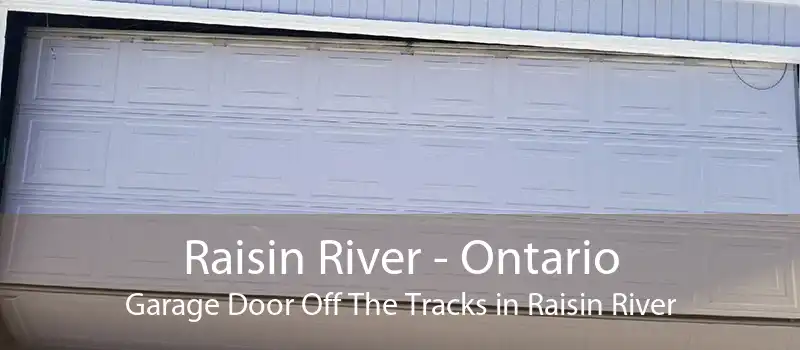Raisin River - Ontario Garage Door Off The Tracks in Raisin River