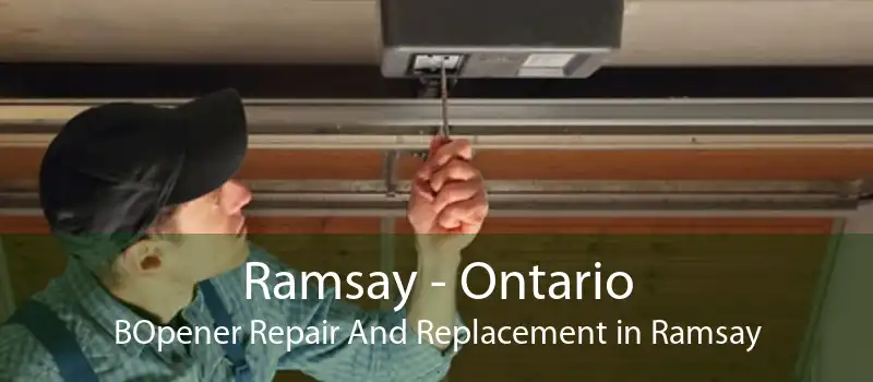 Ramsay - Ontario BOpener Repair And Replacement in Ramsay